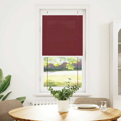 Room Darkening Pleated shade