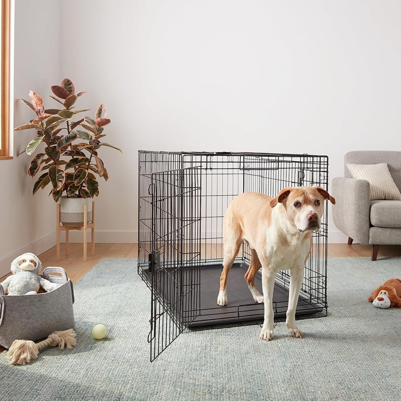 Cage de transport portatif en fil de fer pour grands chiens, niche à double porte avec plateau et panneau de séparation amovibles, cage pliable et robuste, montage facile, noire