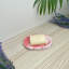 Draining Soap Dish