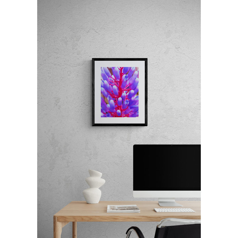 Blue And Magenta Fabricata Print by Drew Gaffney, 31.25" H x 25.25" W