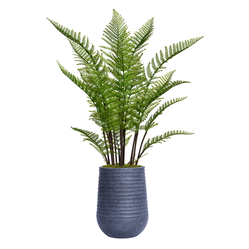Fougère artificielle 54,08 "en pot, Noir