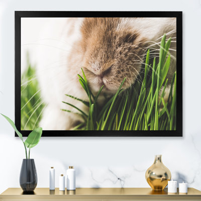 " Closeup View Of Rabbit Nose And Green Grass Stems " Painting Print