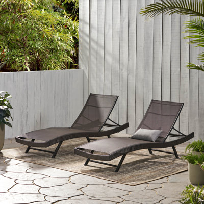 Alejah Outdoor Chaise Lounge Set