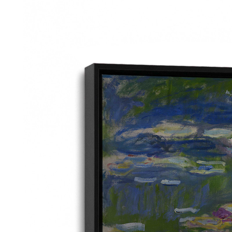 Réflexions de jardin d'eau, 16.75" H x 16.75" W, Noir satiné, Cadre flottant