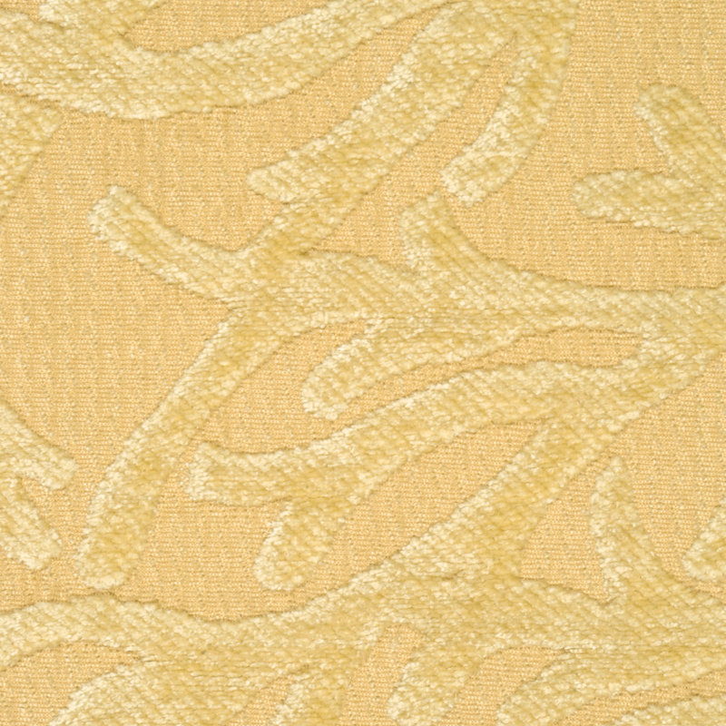 Augustine RR Fabric
