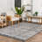Barajas Oriental Gray Area Rug-36835006