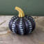 Citrouille noire