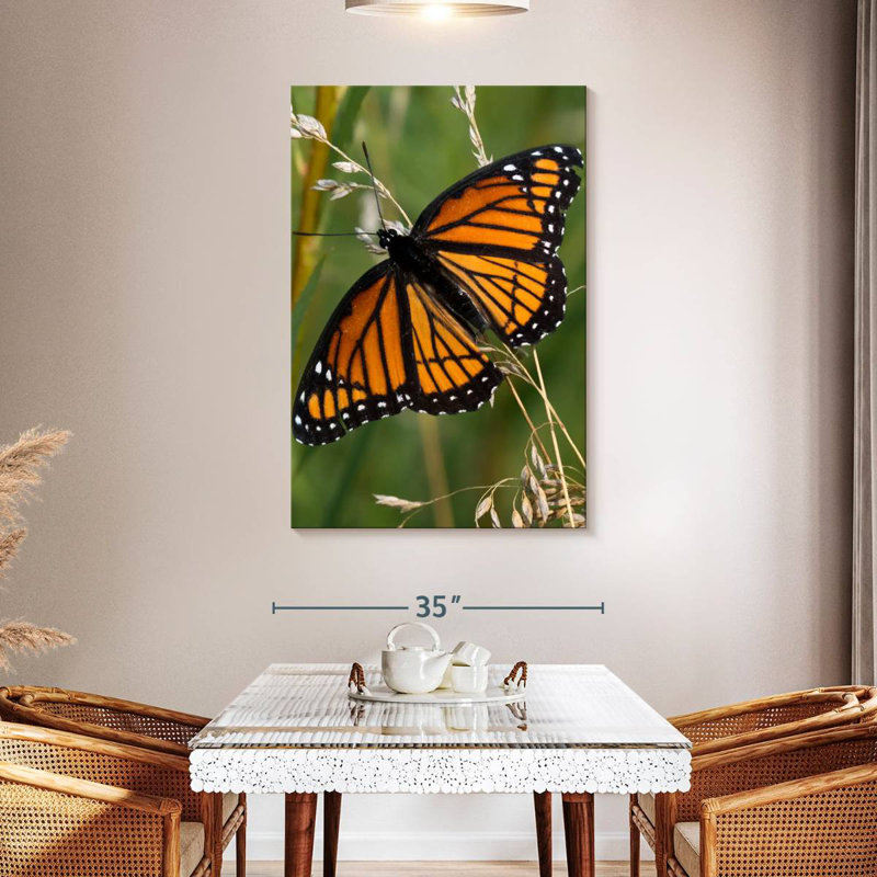 Brampt Monarch Butterfly Up Close, 48" H x 32" W