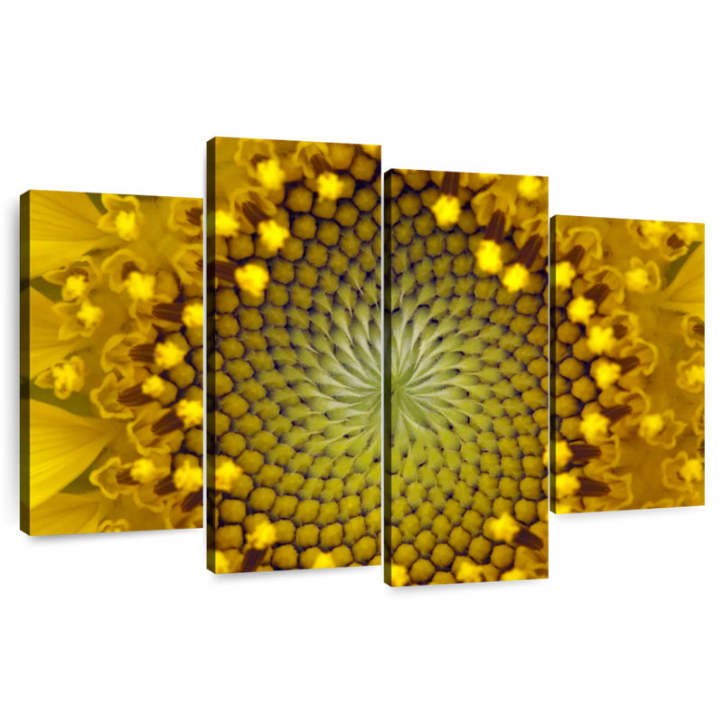 Harnek tournesol symétrique, H 22 po x l 36 po