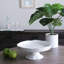 Vida Melamine Cake Stand