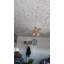 Tuile de plafond en polystyrène Country Wheat 1,6 pi x 1,6 pi-61550025