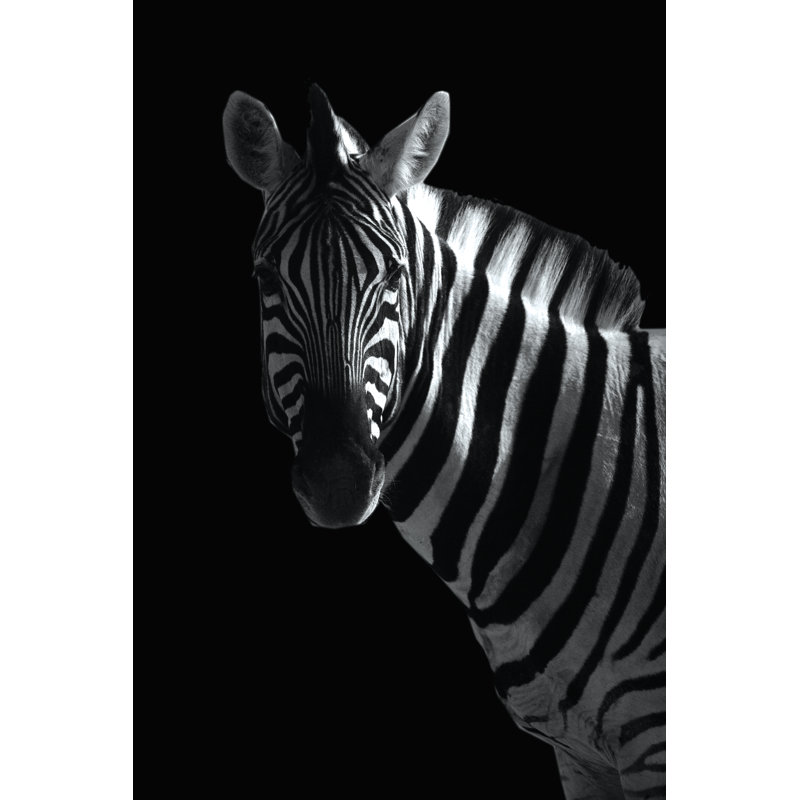High Contrast Zebra Photo - Wrapped Canvas Print, 46cm H x 30cm W x 3.8cm D