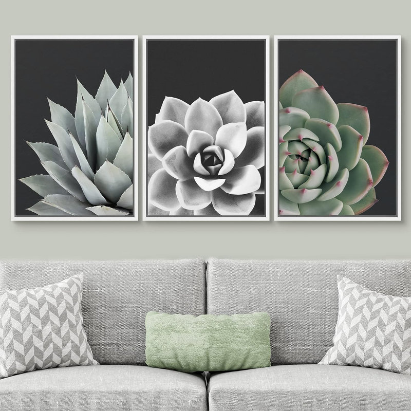 Black and White Desert Rose Echeveria Succulent Botanical Plants Framed On Canvas 3 Pieces Print, White Framed
