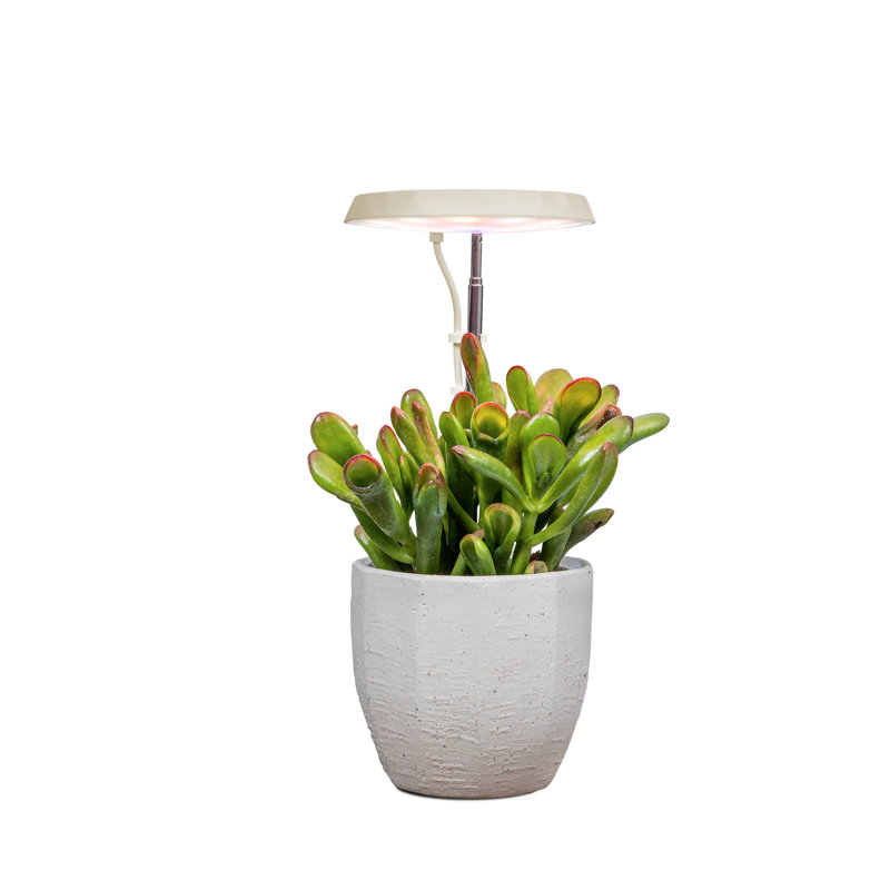 Potence légère AeroGarden - blanc crème, Blanc, crème