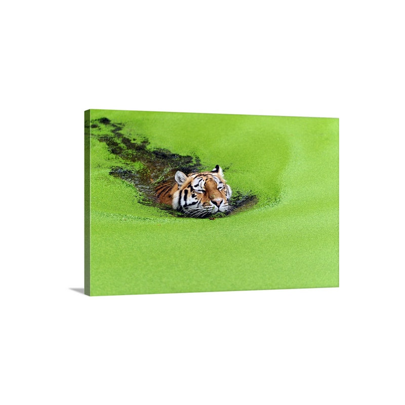 «Straub» Relaxation, reproduction de photo, H 32 po x l 48 po x P 1,5 po, Toile
