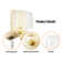 Wall Lamp With Dimmer Switch And USB Charging Port Oval Linear Sleek Lampshade 