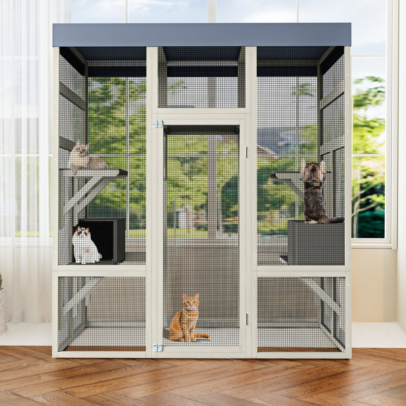 Spacieux enclos extérieur pour animaux de compagnie de 62,6 po pour plusieurs chatons, hauteur de 70,1 po, dessus, 2 boîtes de sieste, cages de balcon, maisons de chat,