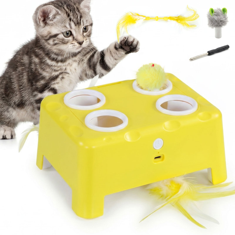 Cat Toys