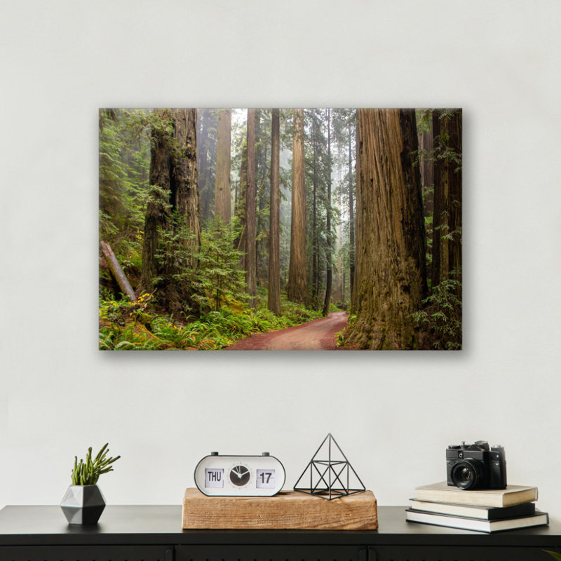 Reproduction de forêt de séquoia, affiche de nature - grands arbres de la Californie, impression de paysage de bois de séquoia géant, impression de paysage de séquoia géant - chalet rustique, art mural forêt minimaliste - cadeau inspiré de la natu