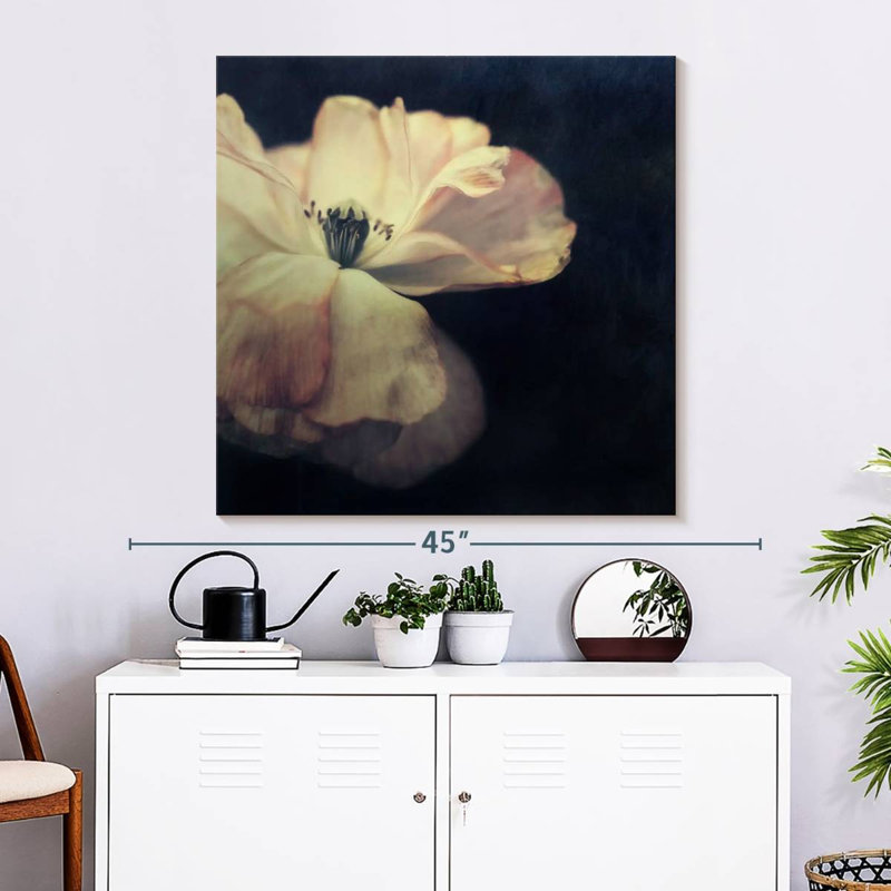 Harnek lumière dans la fleur sombre