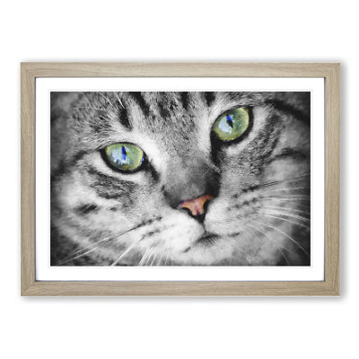Portrait of a Cat Vol.2 - Picture Frame Painting