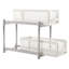 Hagins Freestanding Shower Caddy
