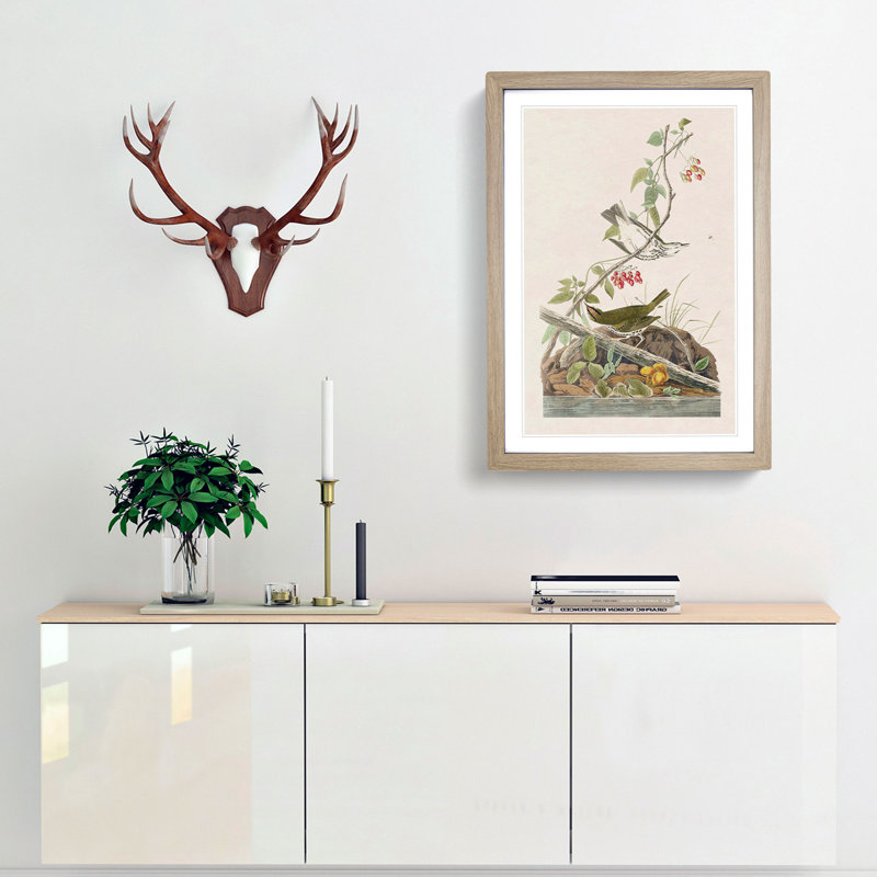 Golden-Crowned Thrush by John James Audubon - Picture Frame Art Print, Oak Framed, 65cm H x 48cm W x 2cm D