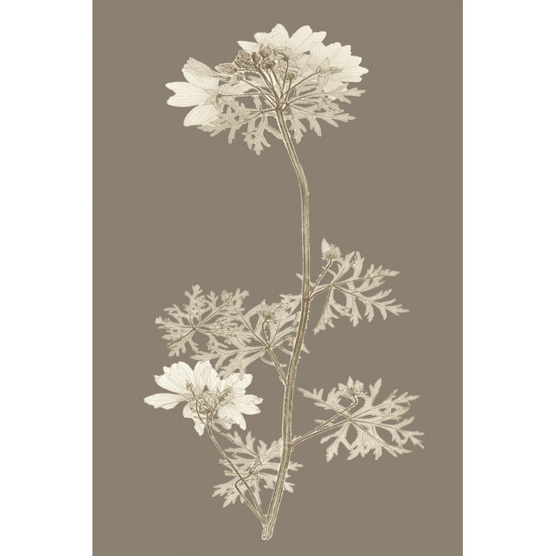 Étude de la nature taupe II, H 12 po x l 8 po
