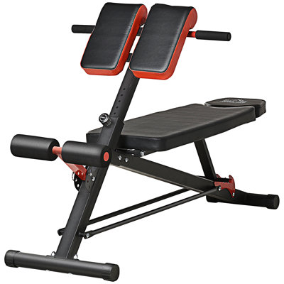 Soozier Adjustable Hyper Extension Dumbbell Weight Bench