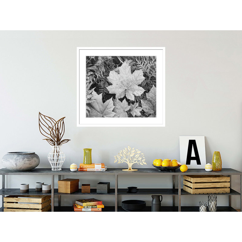 «In Glacier National Park» par Ansel Adams, impression giclée sur cadre, H 33,5 po x l 37,19 po