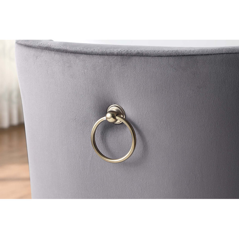 Chaises de salle à manger, chaise d'appoint rembourrée en velours, pieds en métal, Gris