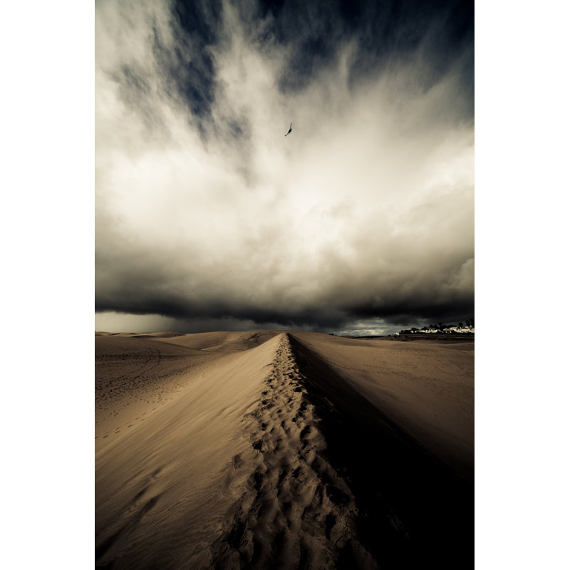 Desert by Safakoguz - Wrapped Canvas Print, 46cm H x 30cm W x 3.8cm D