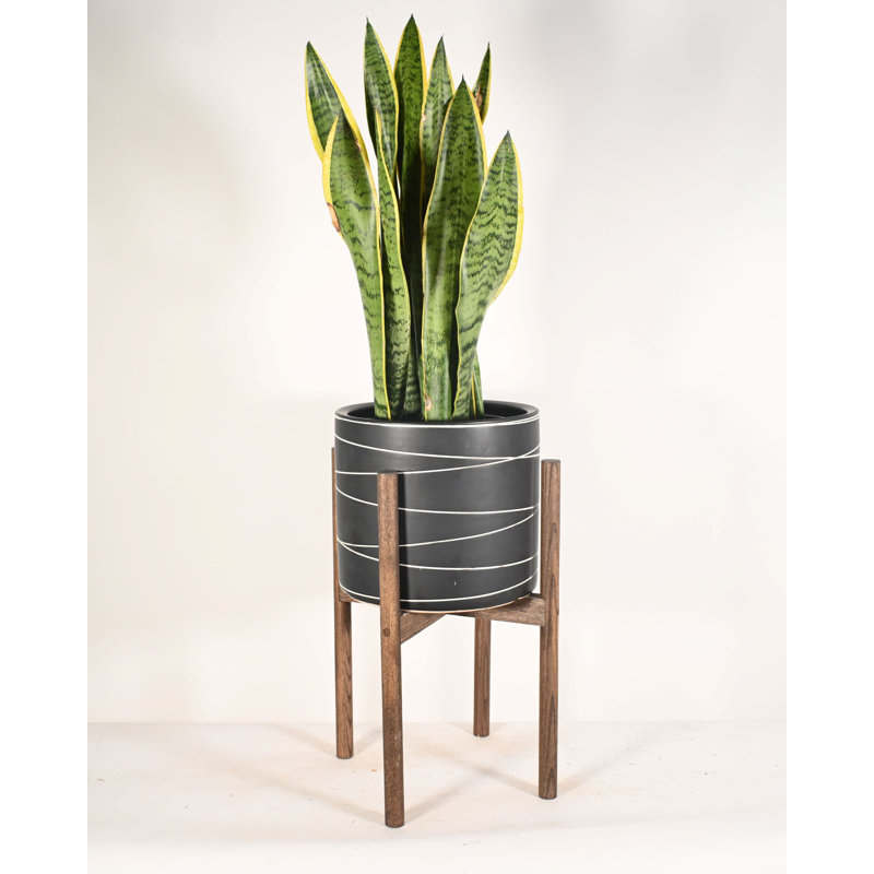 Carnel Ceramic Pot Planter, Dark Walnut