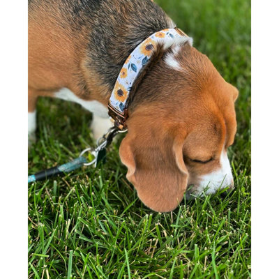 Collier pour chien Collier pour chien avec fleur Printemps Été Colliers mignons pour chien ou fille Colliers pour chien doux et durables réglables pour chien