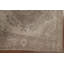 Distressed Wool Traditional Area Rug 6x9