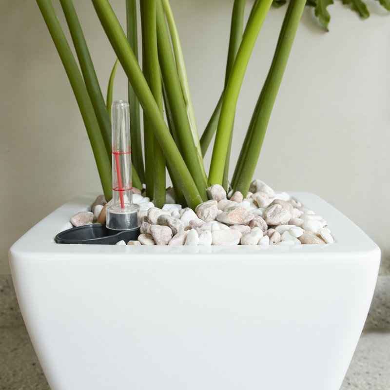 Paquet de 2 pots à fleurs à arrosage automatique pour l'intérieur et l'extérieur, Blanc