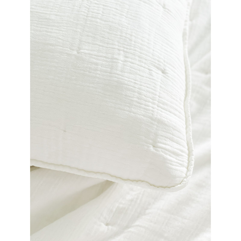 Euro Pillow Cover & Insert, Down, White