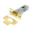 Tubular Mortice Latch-111909798