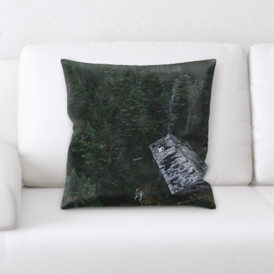 Coussin ancien et abandonné Griggs