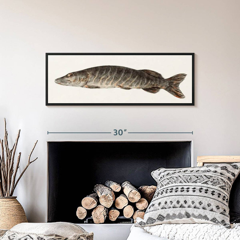 Brochet, Cadre flottant noir, 31 po x 11 po