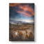King Penguins And Mountains - Wrapped Canvas-56659123