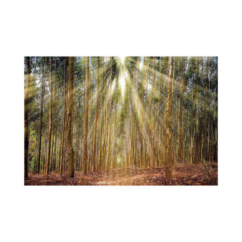 Landscape 17 - Wrapped Canvas Print, 20.32cm H x 30.48cm W x 1.905cm D