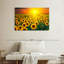 Alvord, coucher de soleil avec tournesols-107502706