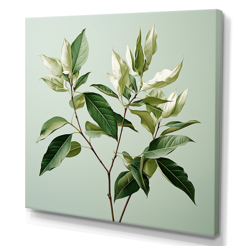 Menthe fraîche, minimalisme, feuilles, sérénité, H 24 po x l 24 po x P 1 po, Toile tendue