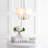 Carmack 4 - Light Iron Dimmable Chandelier