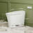 Smart Toilet With Bidet Purified Water Washing, Plasma Air, ADA Compliant One Piece Toilet With Powerful Flush, Heated Toilet Seat, Warm Dryer, Night Light, Deodorization