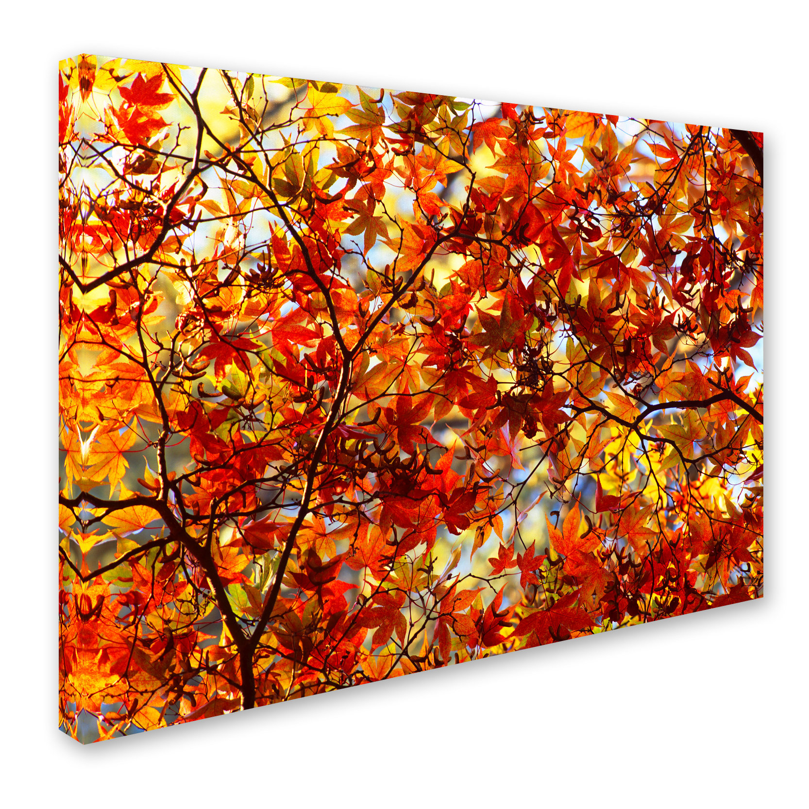 Latitude Run® Ann 'Autumn Scene' Photographic Print on Wrapped Canvas ...