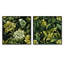 Ensemble de 2 collages tropicaux tropicaux dans la jungle tropicale-101843482-101843483