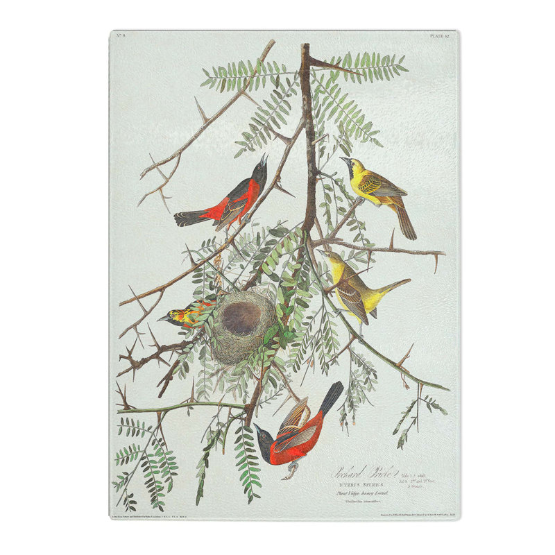 Tempered Glass Orchard Oriole by John James Audubon Chopping Board, 28.5 cm W x 39 cm L