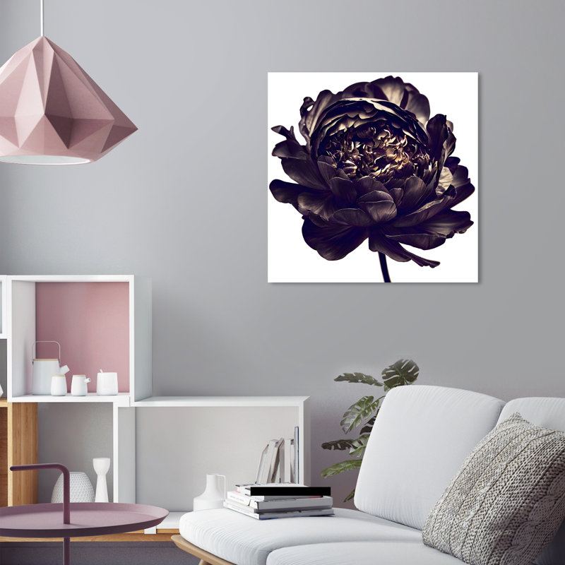 Pivoine noire - Impression sur toile, Toile tendue, H 24 po x l 24 po